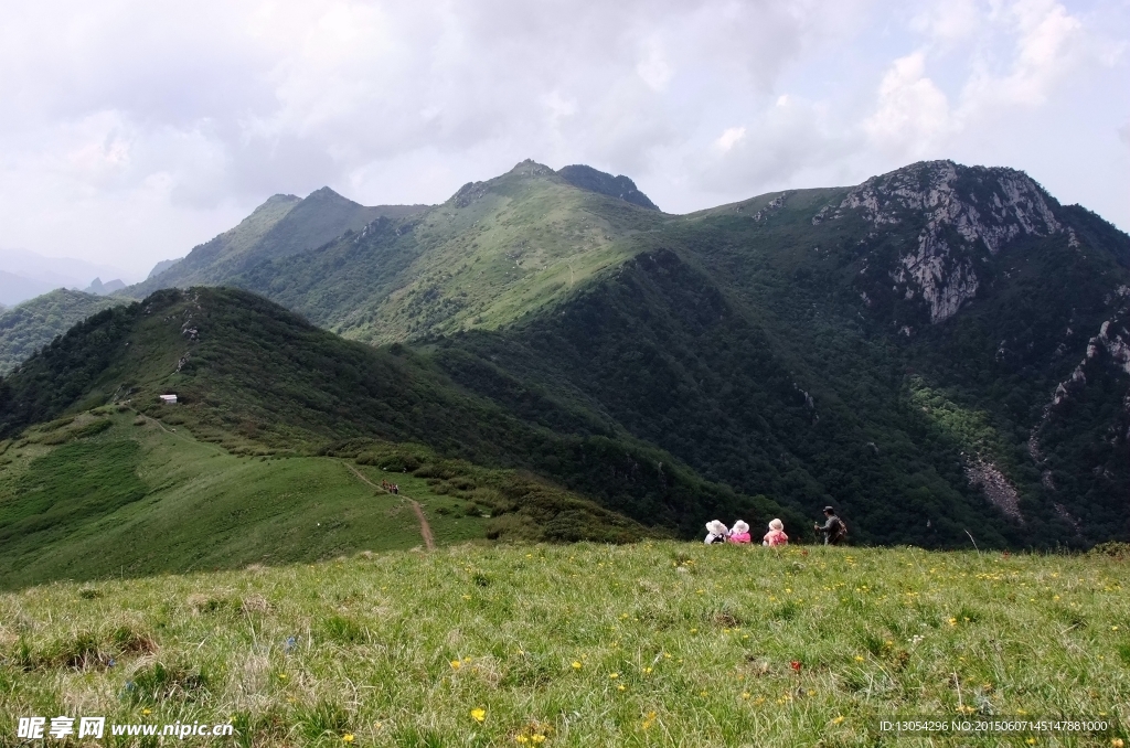 高山草甸