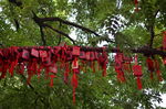 祈福