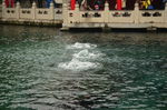 济南景观