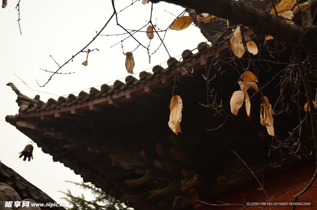 深冬建筑
