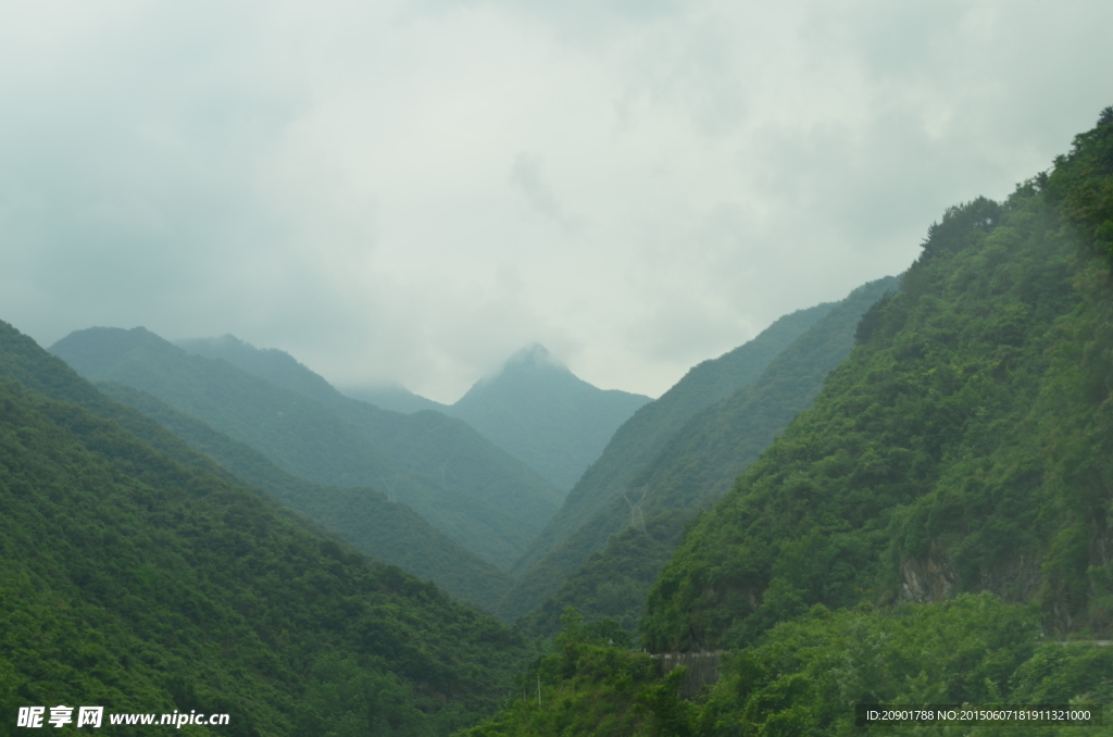 秦岭原始森林