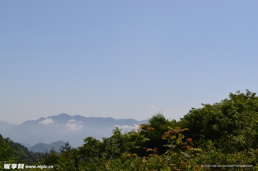 原始森林