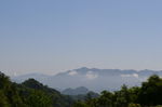 秦岭原始森林