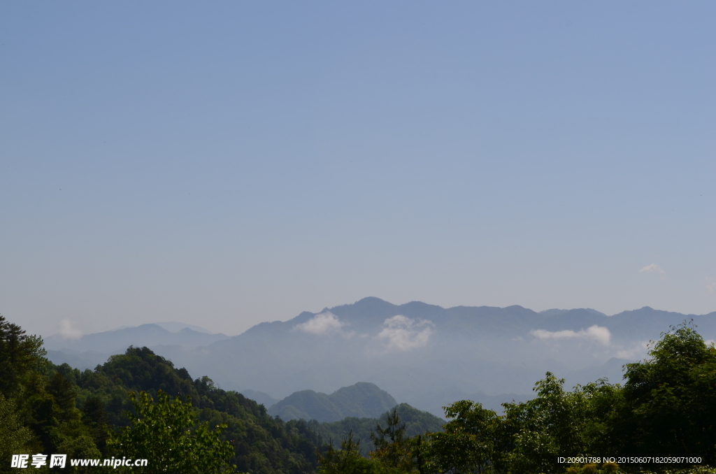 秦岭原始森林