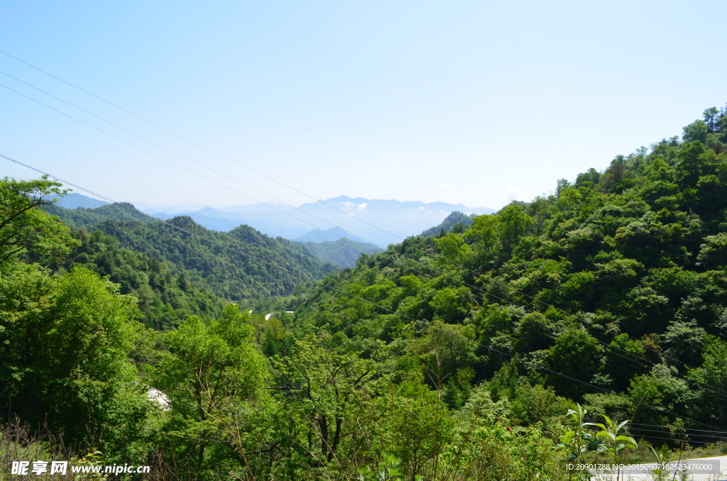 原始森林