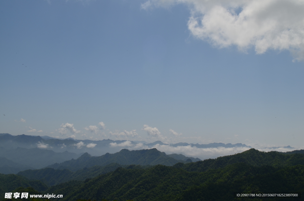 原始森林