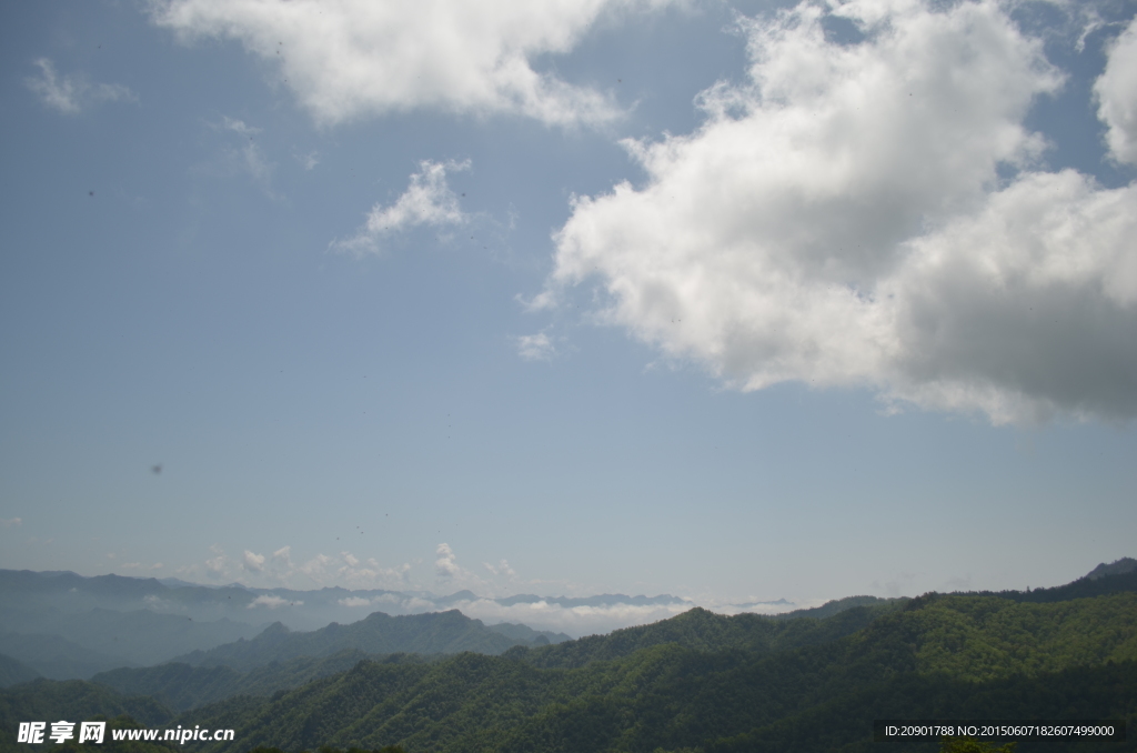 原始森林