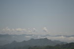 原始森林