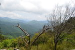 秦岭原始森林