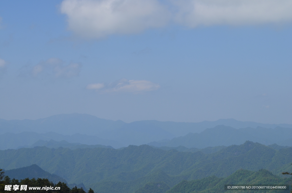 秦岭原始森林