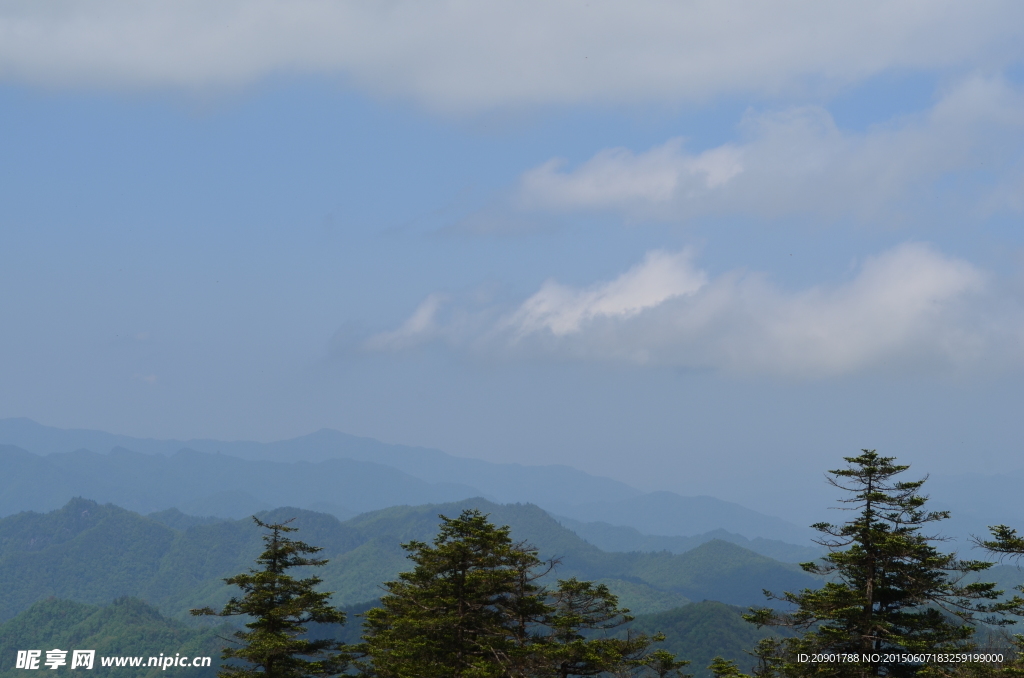 秦岭原始森林