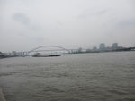 卢浦大桥   黄浦江   江水