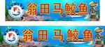 翁田马鲛鱼