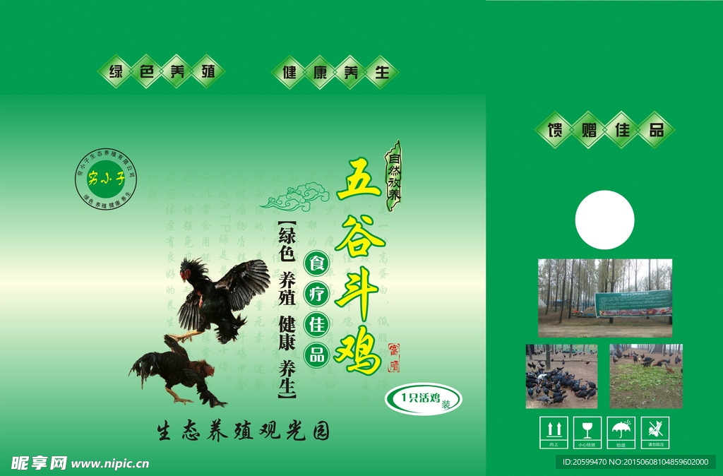 五谷斗鸡
