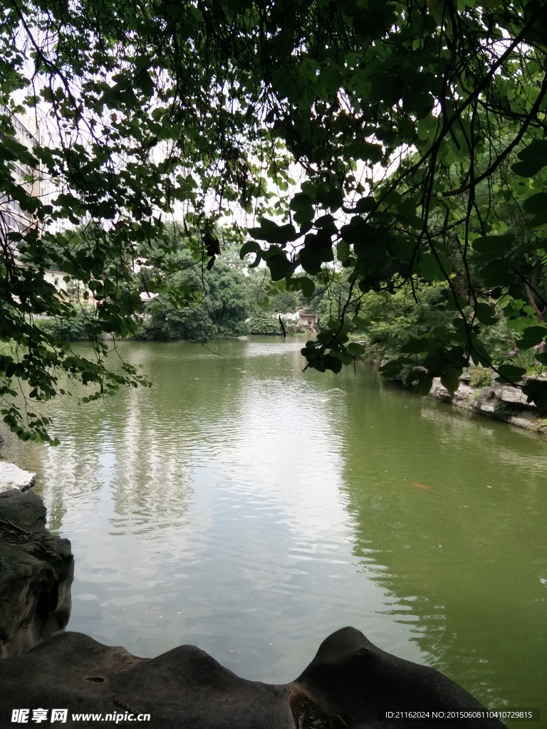 绿树碧水