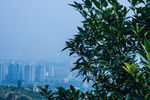自然风景 自然风景图片