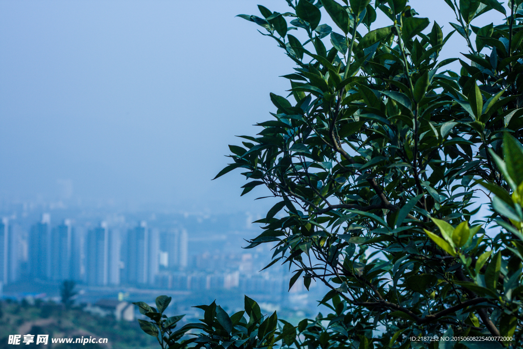 自然风景 自然风景图片