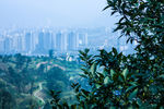 自然风景 自然风景图片