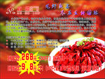 龙虾介绍