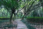 深圳荔香公园