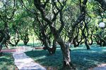 深圳荔香公园