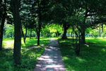 深圳荔香公园
