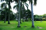 深圳荔香公园