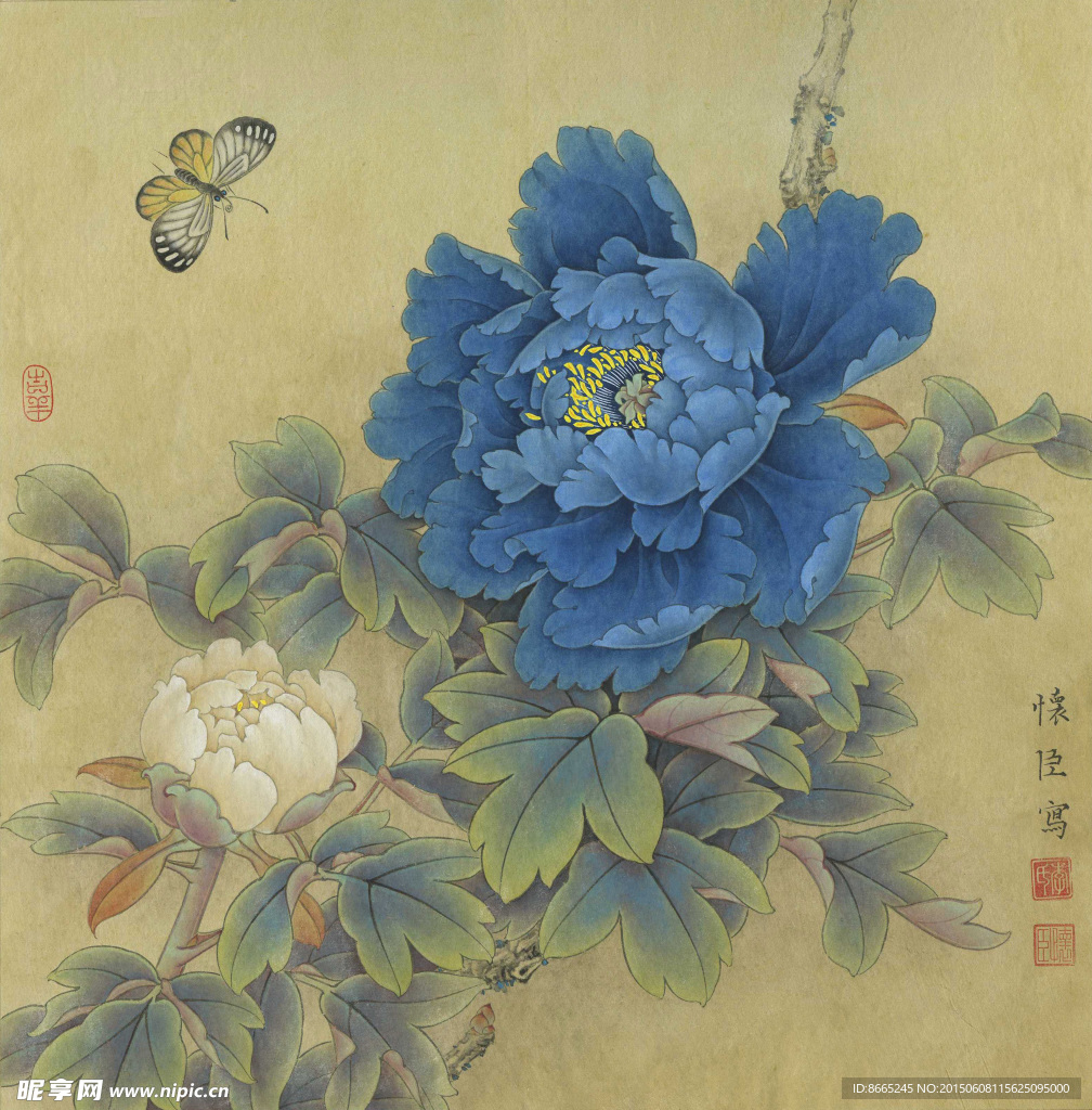 蓝牡丹