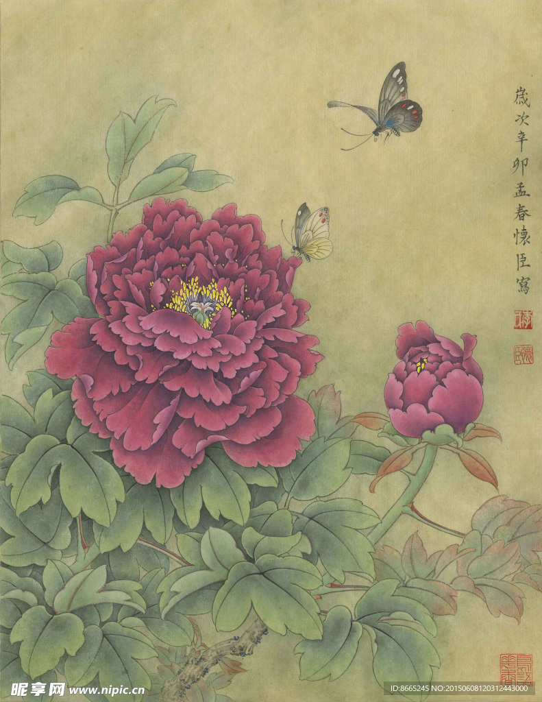工笔牡丹