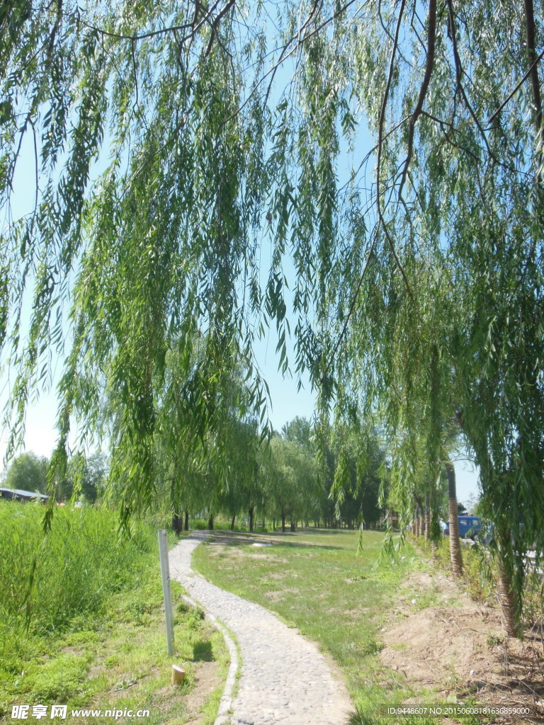 公园风景图