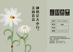化妆品外包装箱