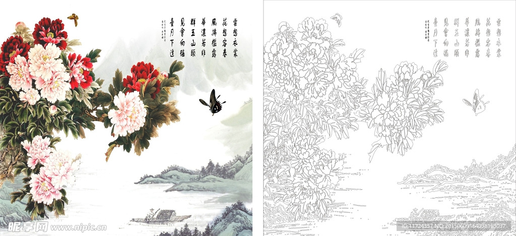 牡丹花