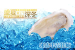 半壳牡蛎生蚝