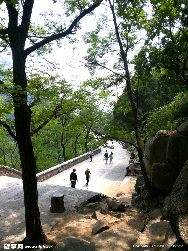 泰山