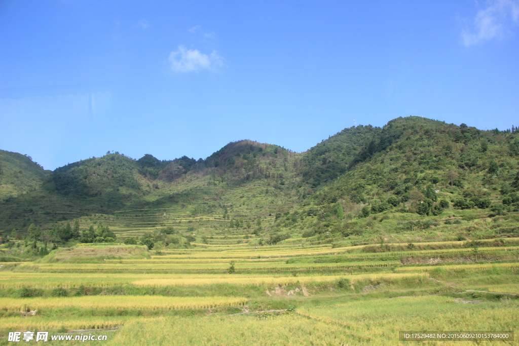 温州永嘉田野风景