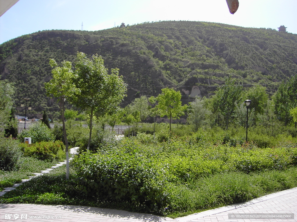 夏日摄影风景