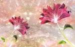 百合花 不分层
