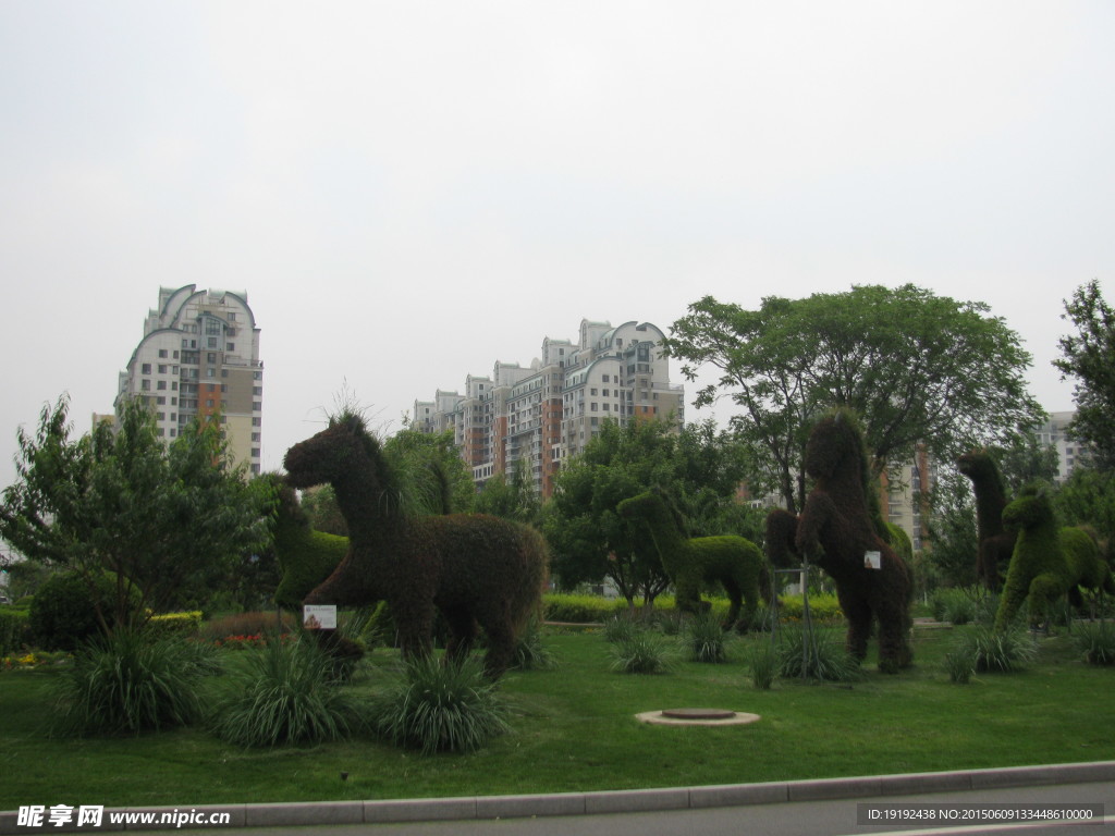 绿化景观