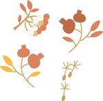 矢量花朵果实
