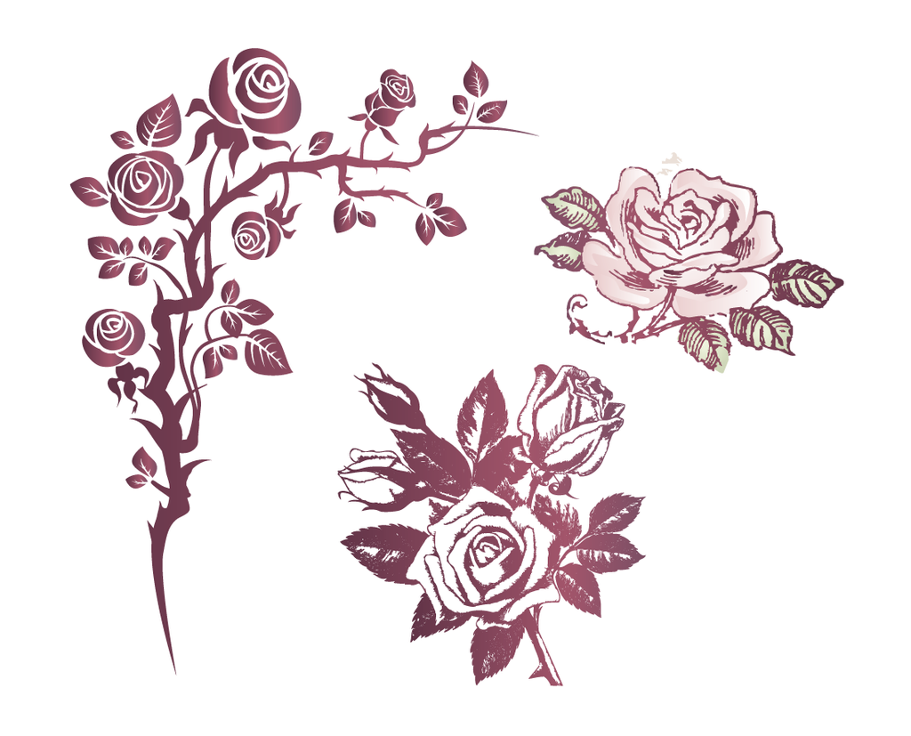 玫瑰花剪影