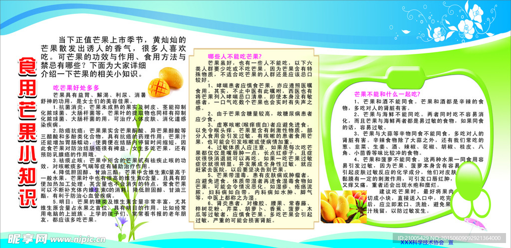 食用芒果小知识宣传栏
