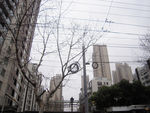 上海街景