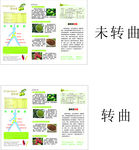 清净果 宣传单