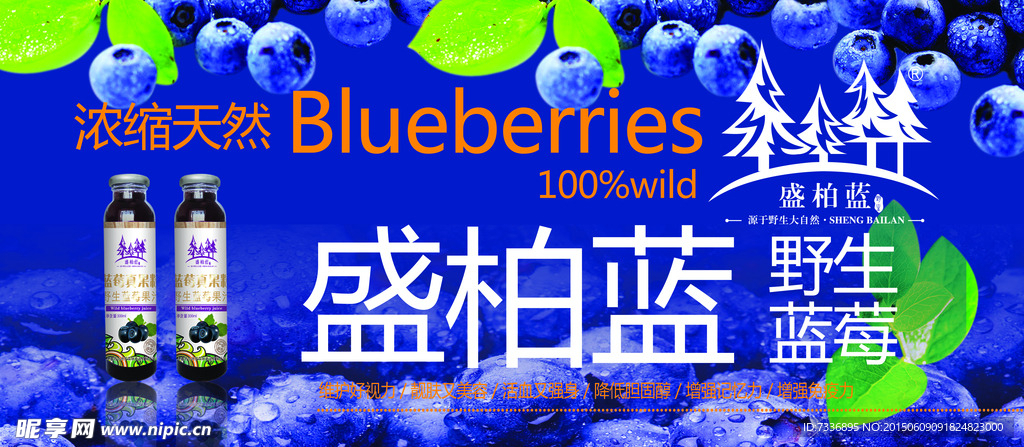 蓝莓
