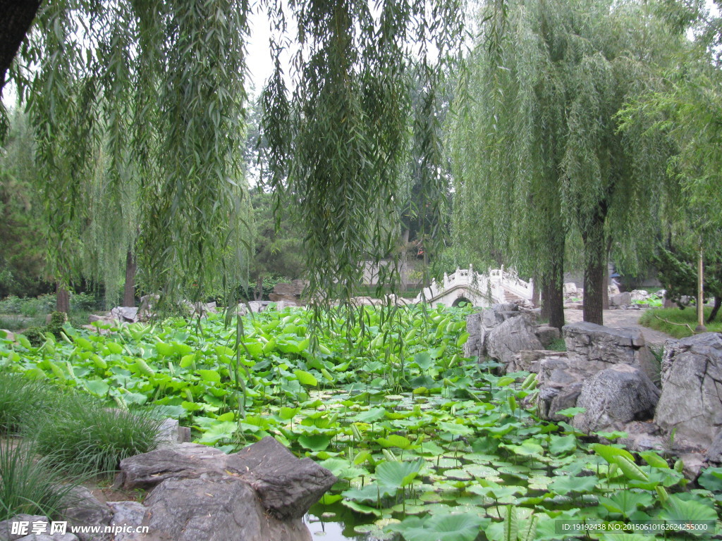 绿化景观
