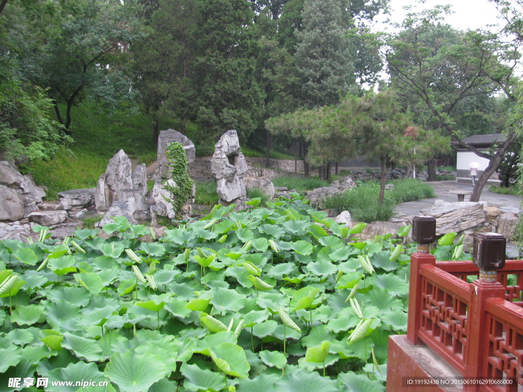 绿化景观