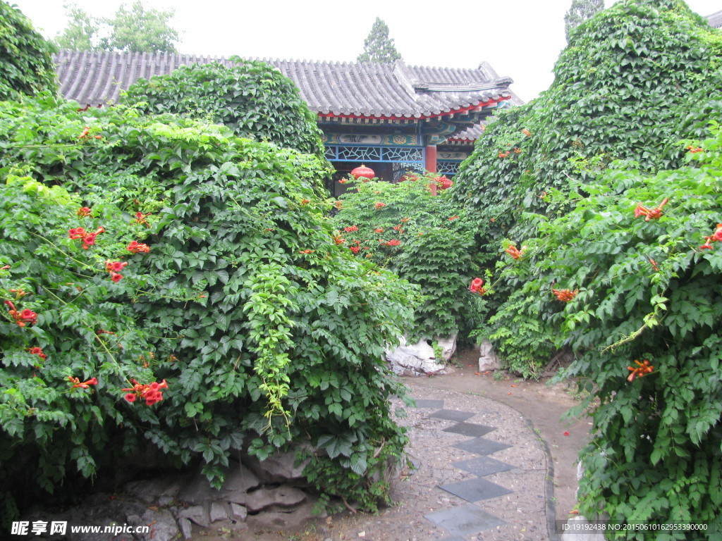 绿化景观