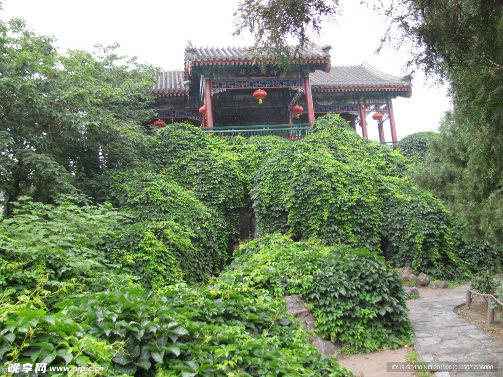 园林景观