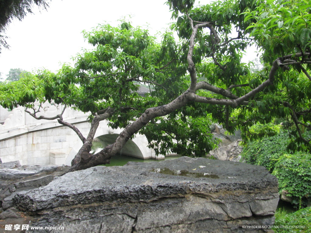 园林景观