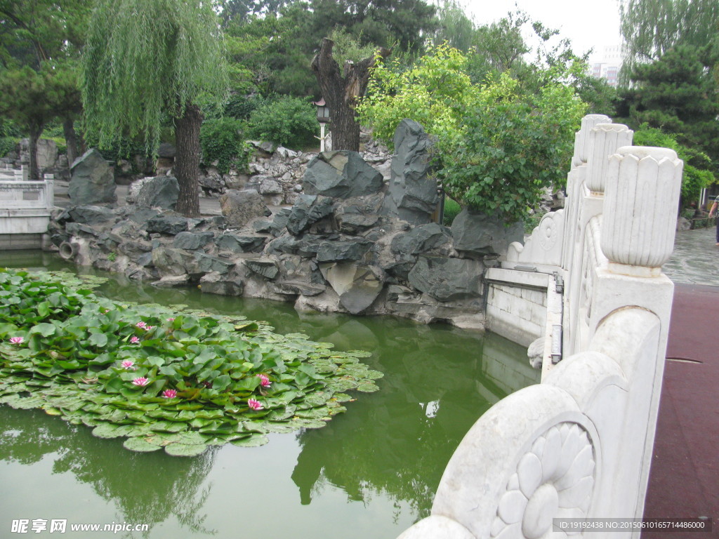 园林景观